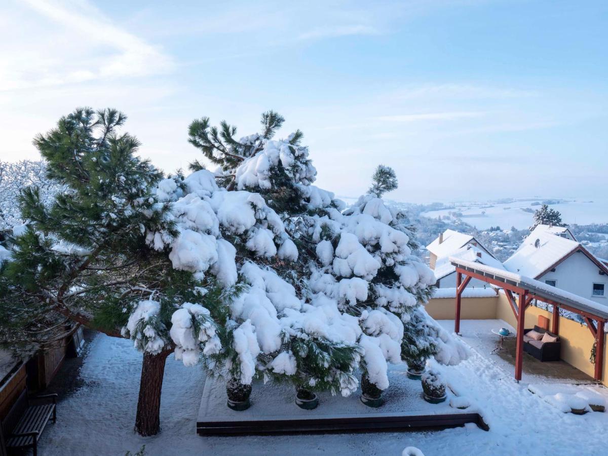 Hotel Kollektur Zellertal エクステリア 写真